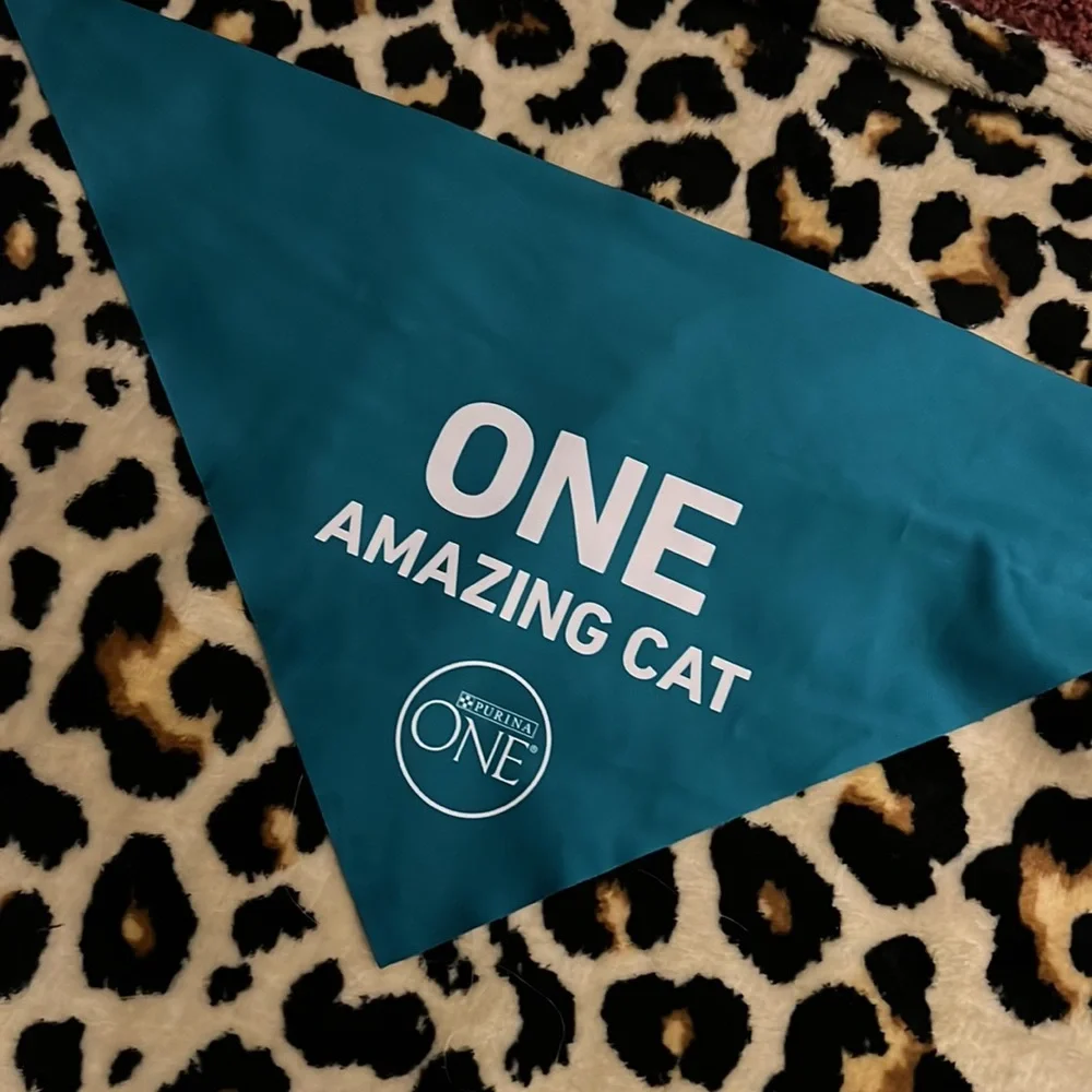 One Amazing Cat Bandana